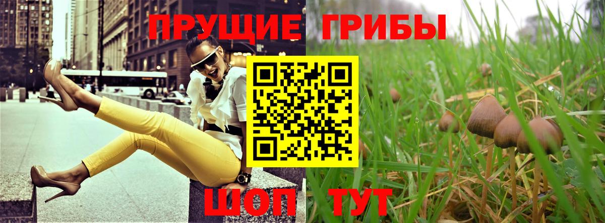 Псилоцибиновые грибы Magic Shrooms  Вход с VPN  наркота  Мурино 